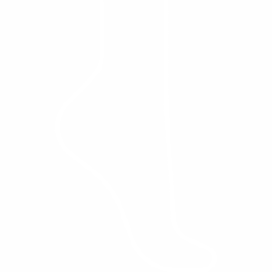 Icon feet